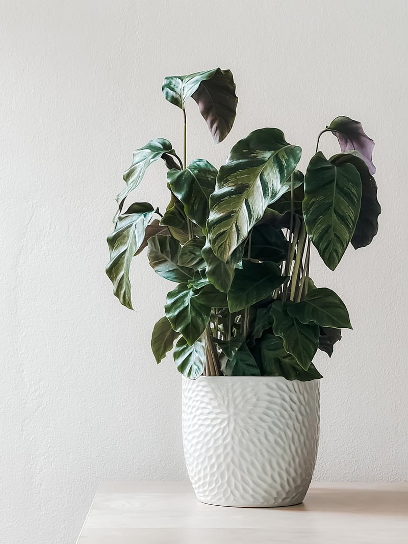 Floral Arrangement